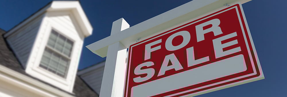 241226 MG_MPA_Real Estate E&O _header